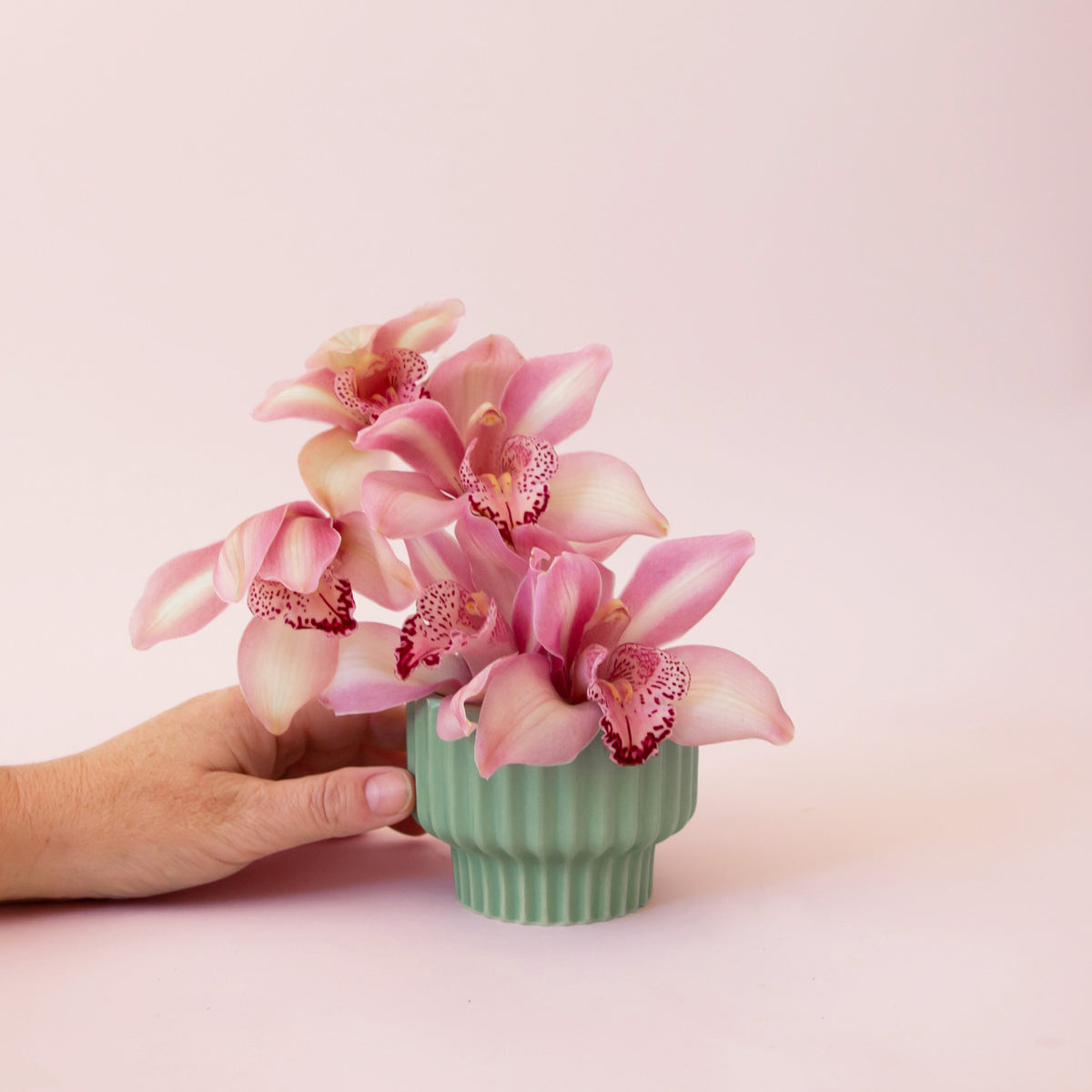 A small lagoon colored vase with fluting detail holds pink orchid flowers with a hand reaching into frame to hold the vase.
