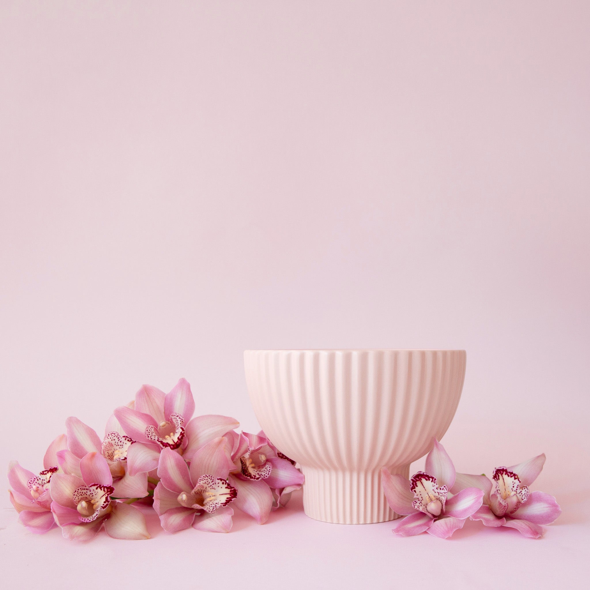 Light pink textured pedestal planter bowl on a light pink background