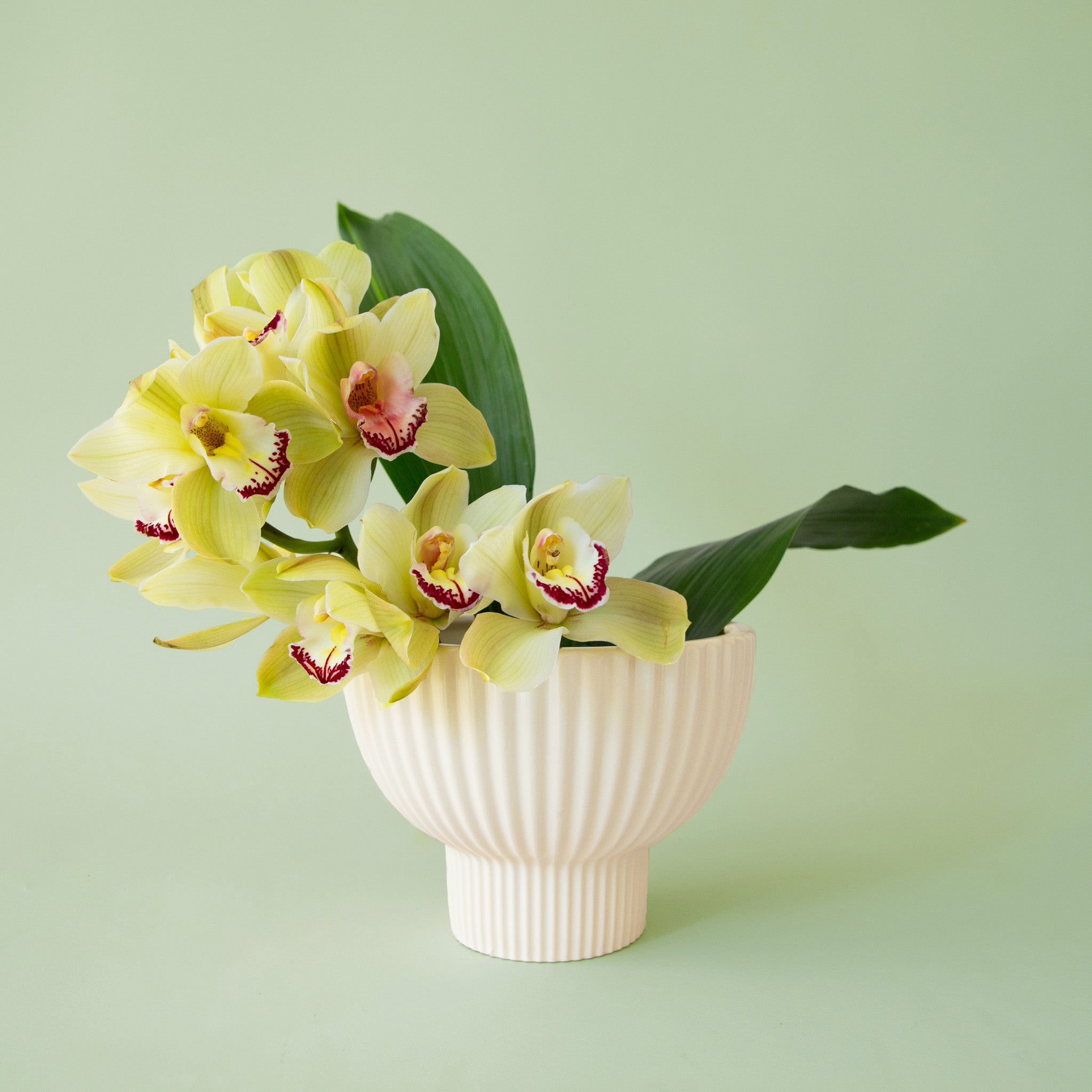 A white ribbed pedestal planter with tropical flowers inside. 