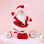 A red and white Santa figurine. 