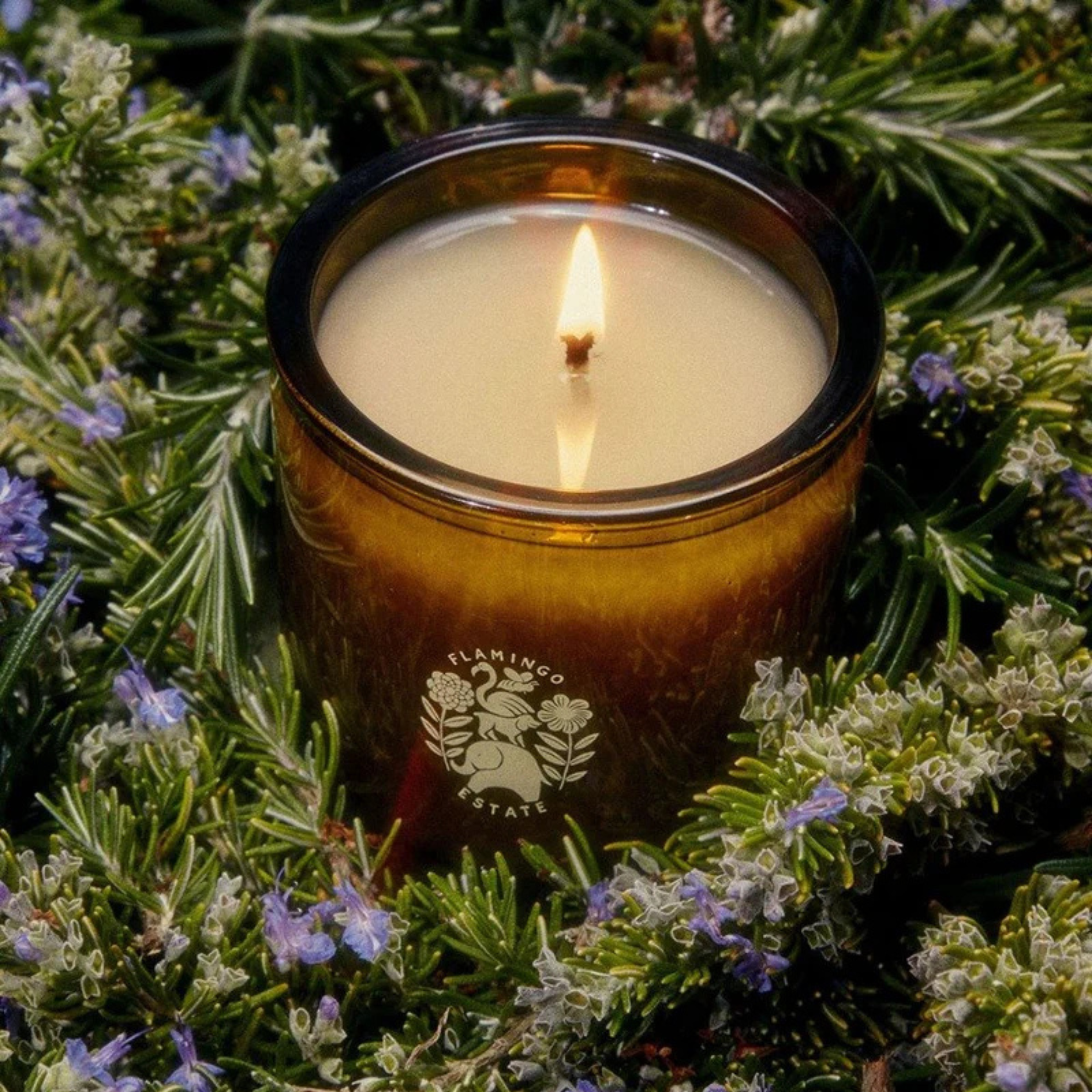 "flamingo estate sappho fig" candle. 