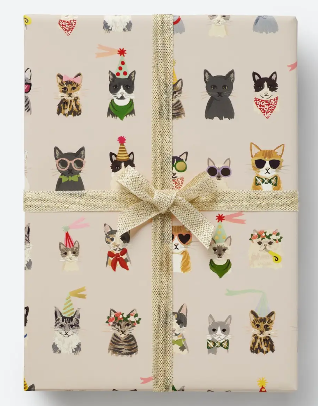 Party Cats Continuous Wrap
