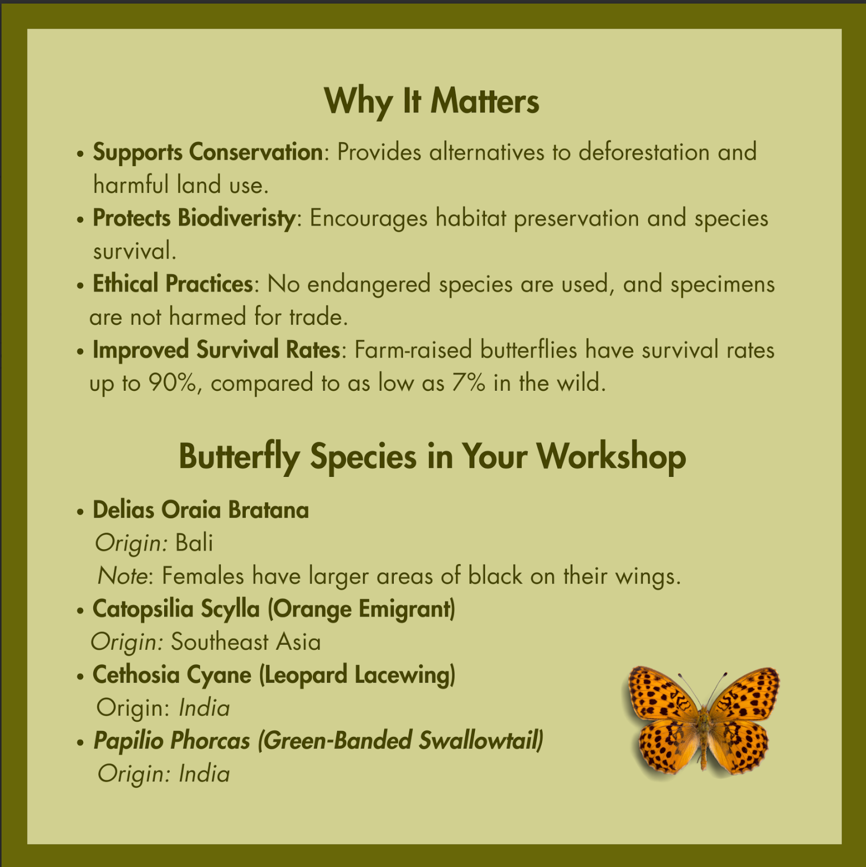 Butterfly Garden Workshop | June 13th, 2026