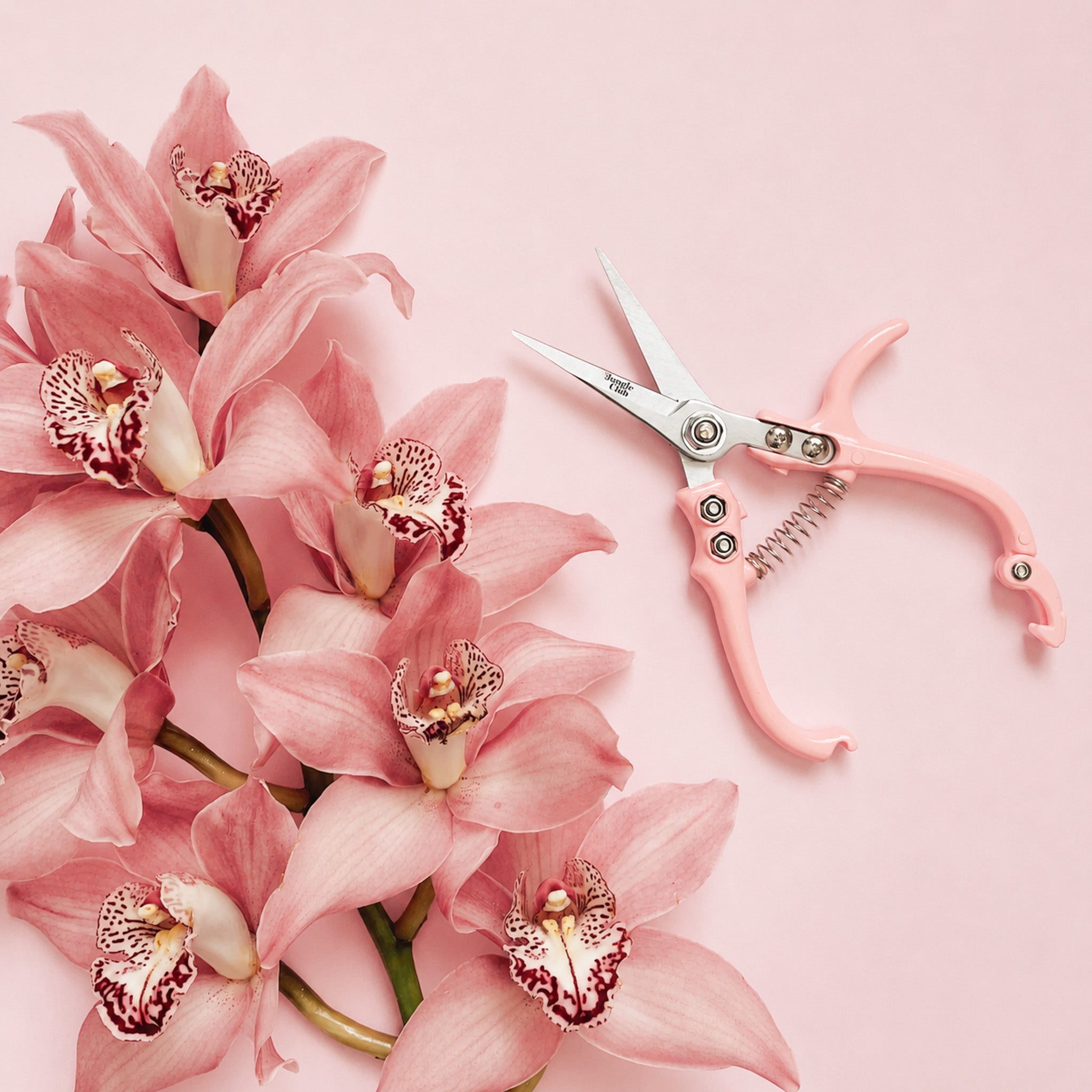 On a pink background is the pink pruning shears staged next to pink flowers. 