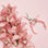 On a pink background is the pink pruning shears staged next to pink flowers. 