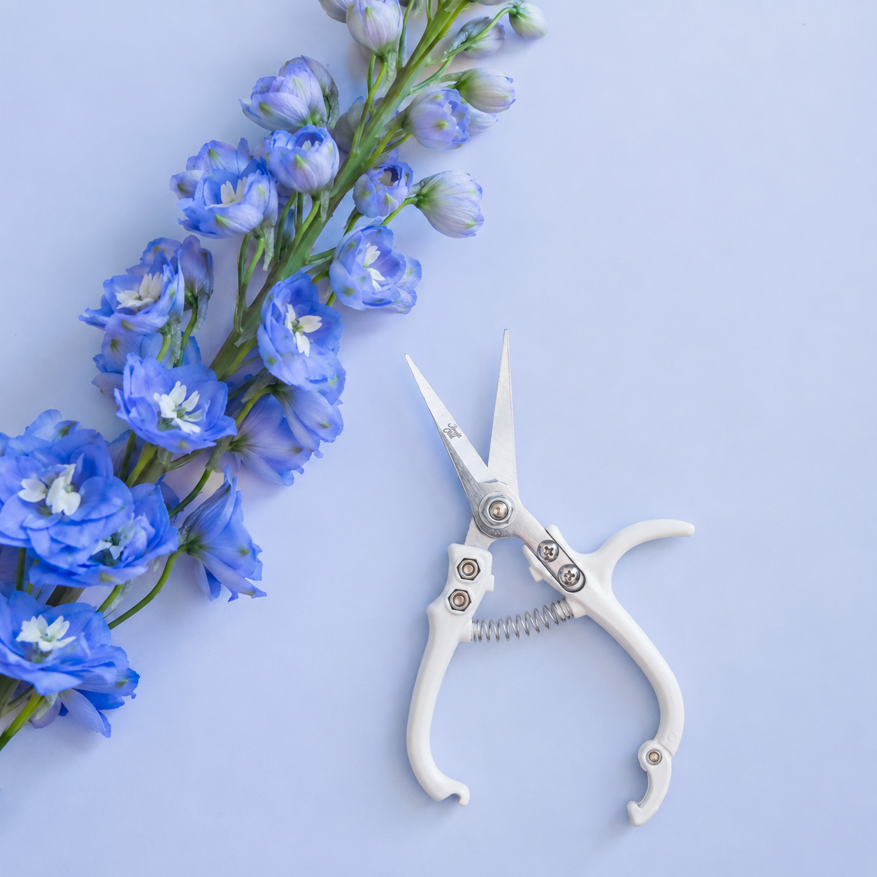 Pair of pruning shears with white handles and metal blades. The outer blade reads 'jungle club' in small, playful lettering. The pruning shears have a black clasp at the top of the handles to secure them closed.