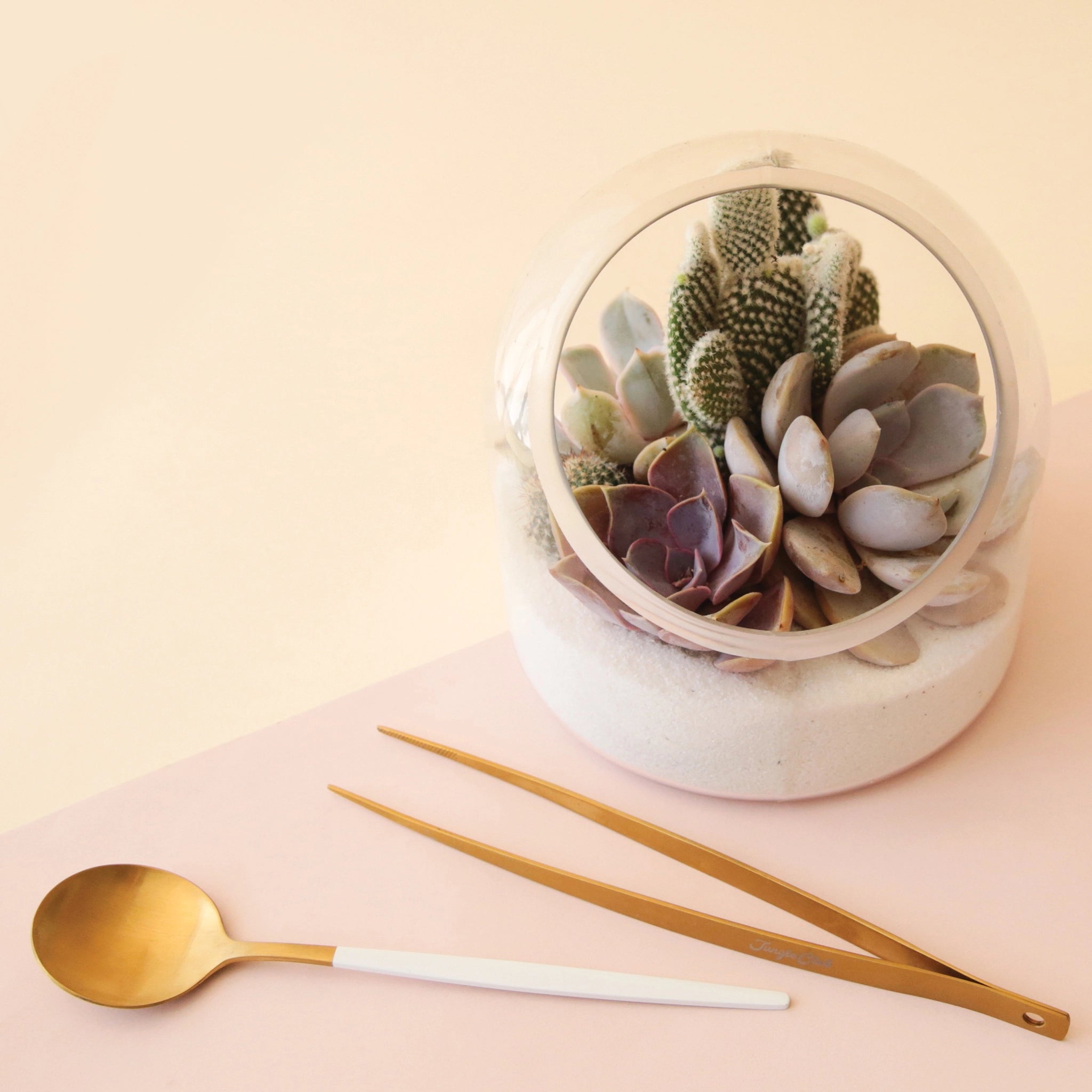 A glass terrarium with a flat bottom, and a circle opening at the front and filled here with a succulent arrangement.