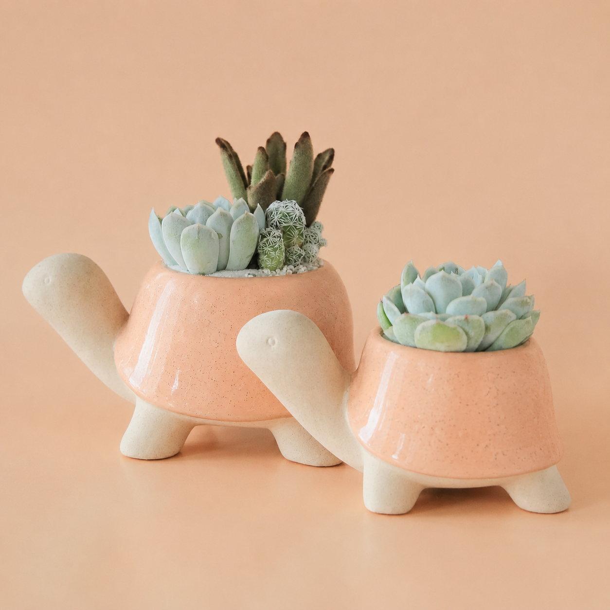 Two turtle shaped planters that are a peach color with speckled details and succulents planted in them.