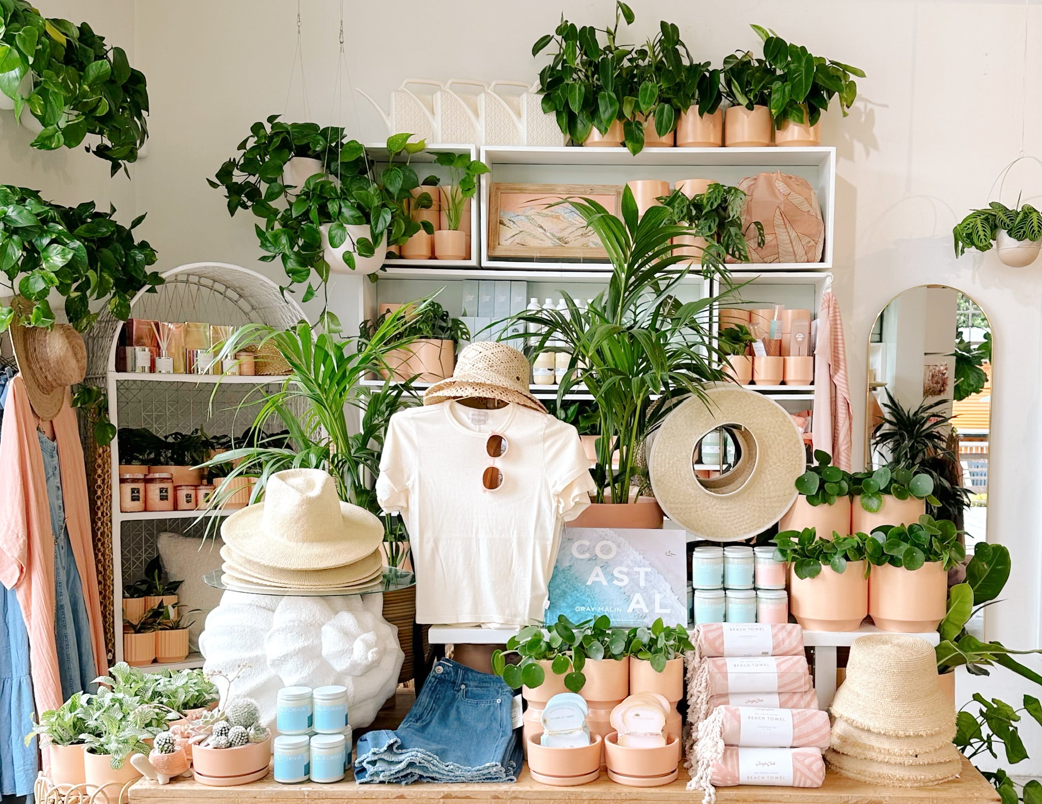 interior store display featuring coastal, beachy products and tropical plants