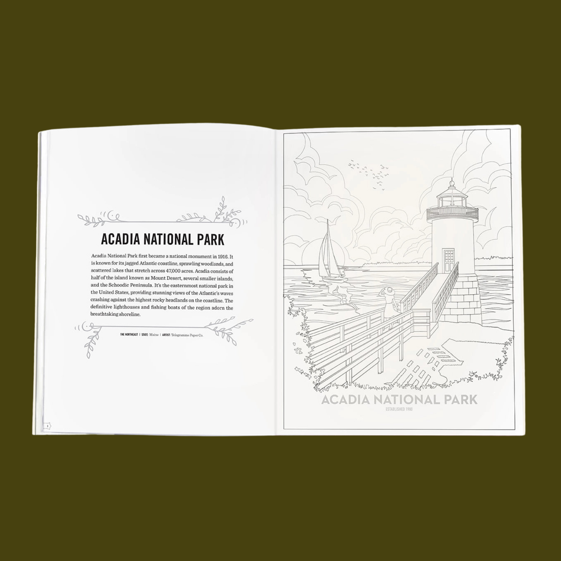 the art of the national parks coloring book