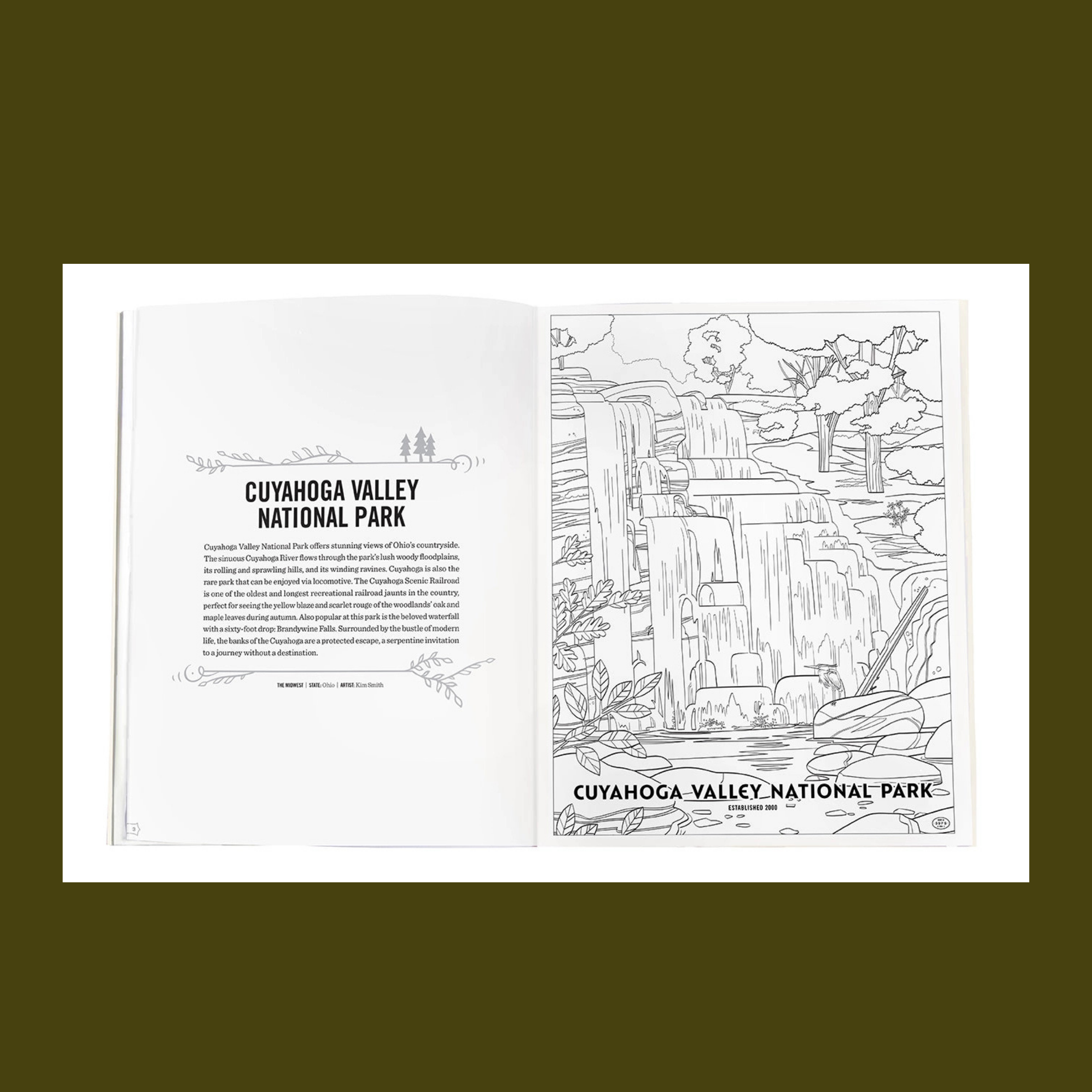 the art of the national parks coloring book