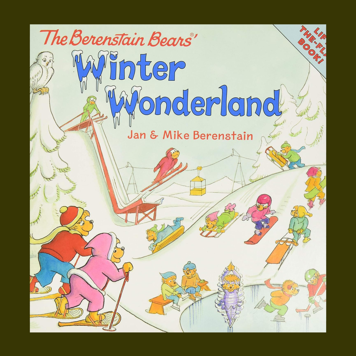 The Berenstain Bears Winter Wonderland
