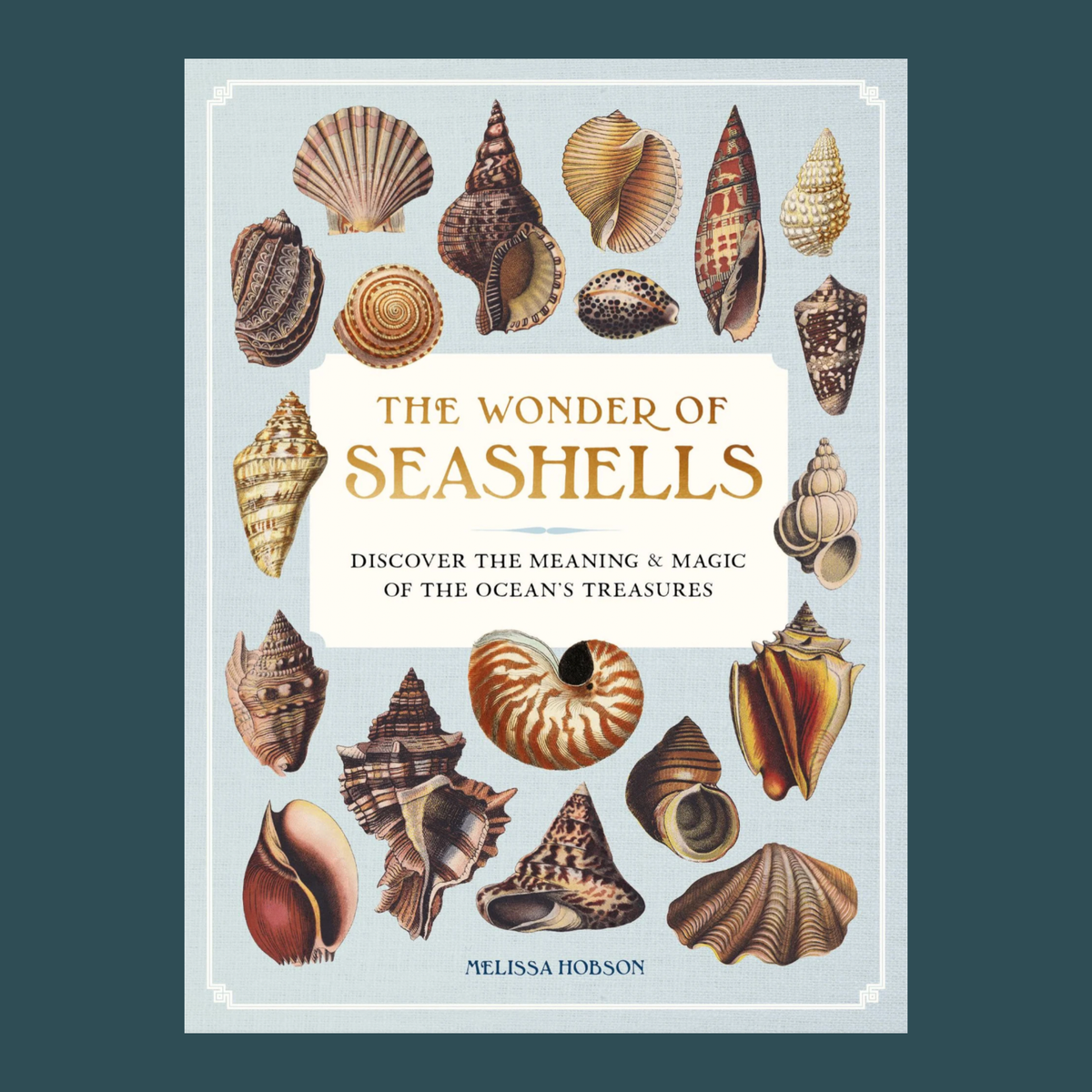 The Wonder Of Seashells