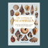 The Wonder Of Seashells