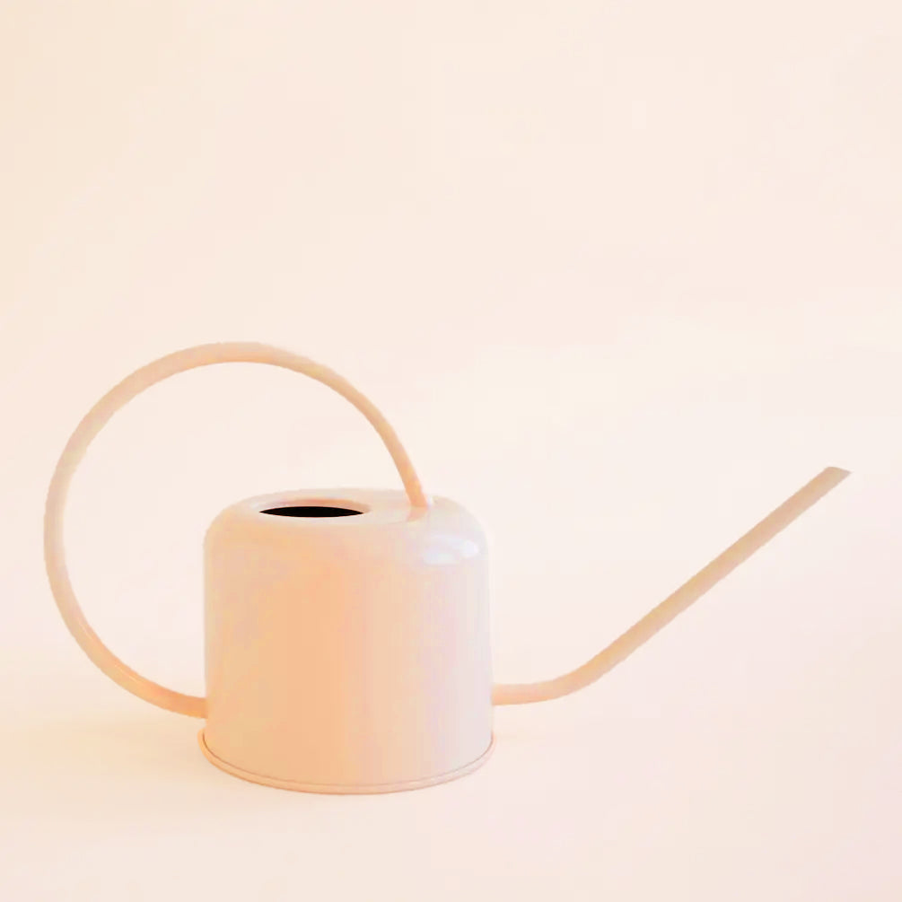 On a white background is a tan watering can with a round handle and a long spout for out of reach places.