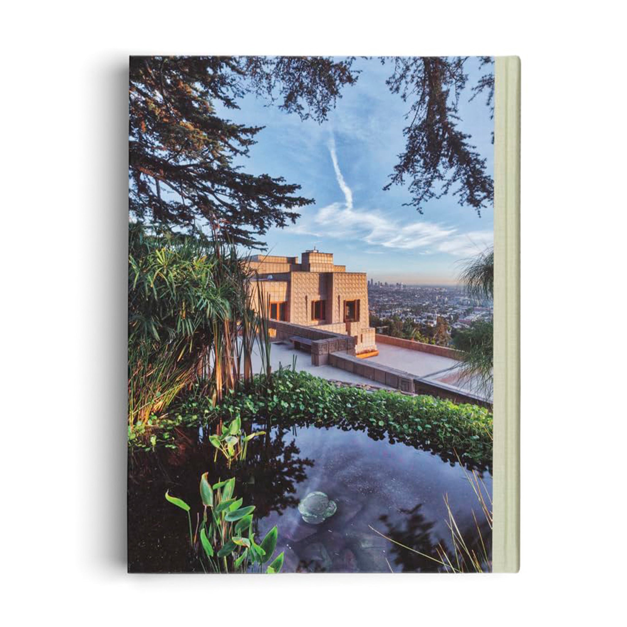 A book cover with an interior with text that reads, "American Icons The Architecture of the United States Visions and Defiance'. 