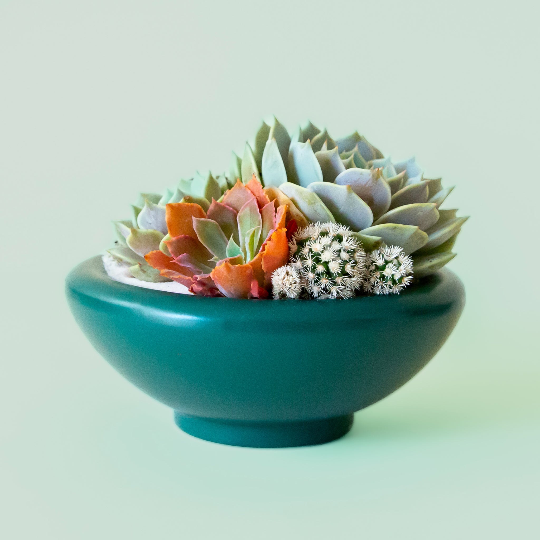 green footed low bowl