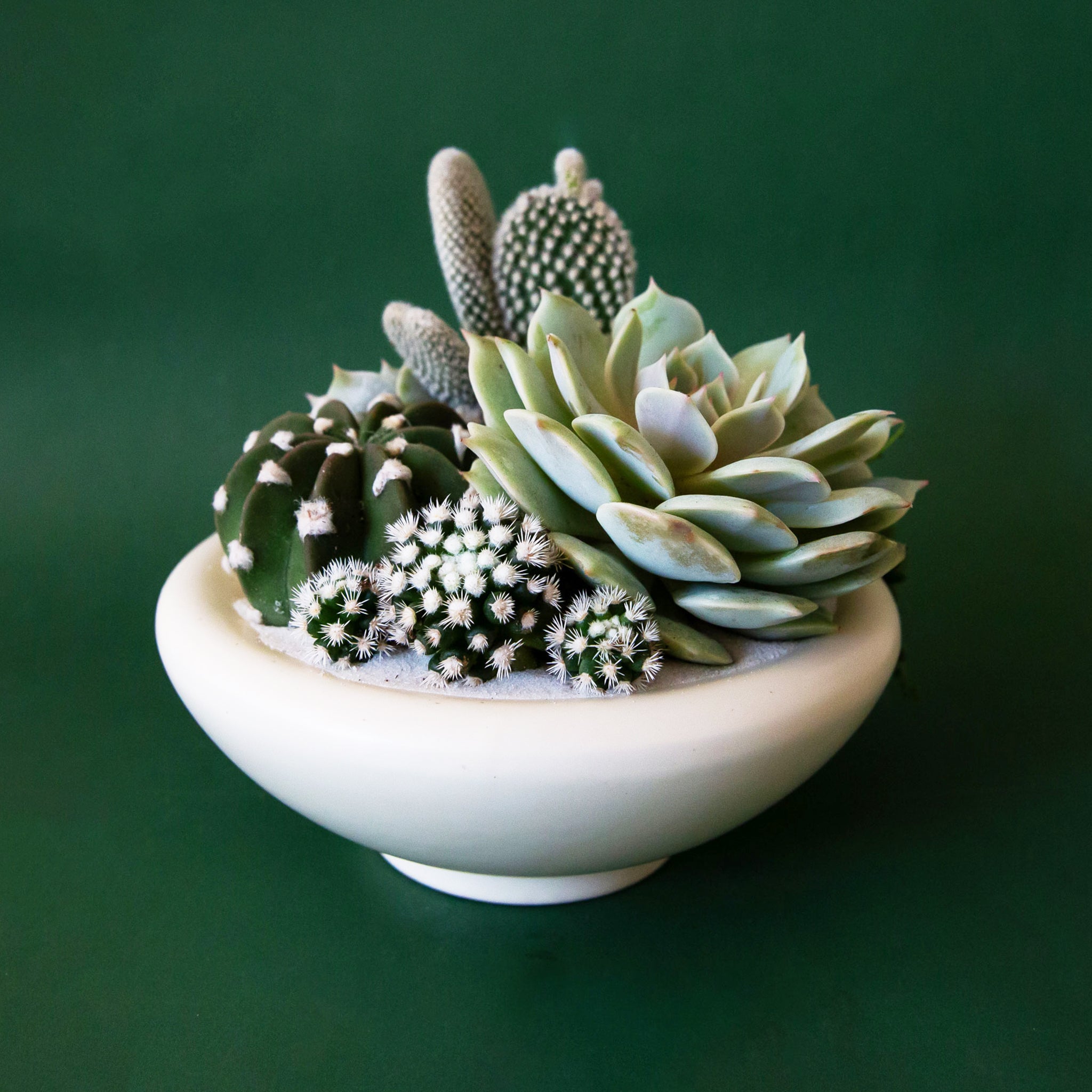 A rounded low pedestal bow in a vintage ivory shade. Plantings are just used for staging purposes and are sold separately. 