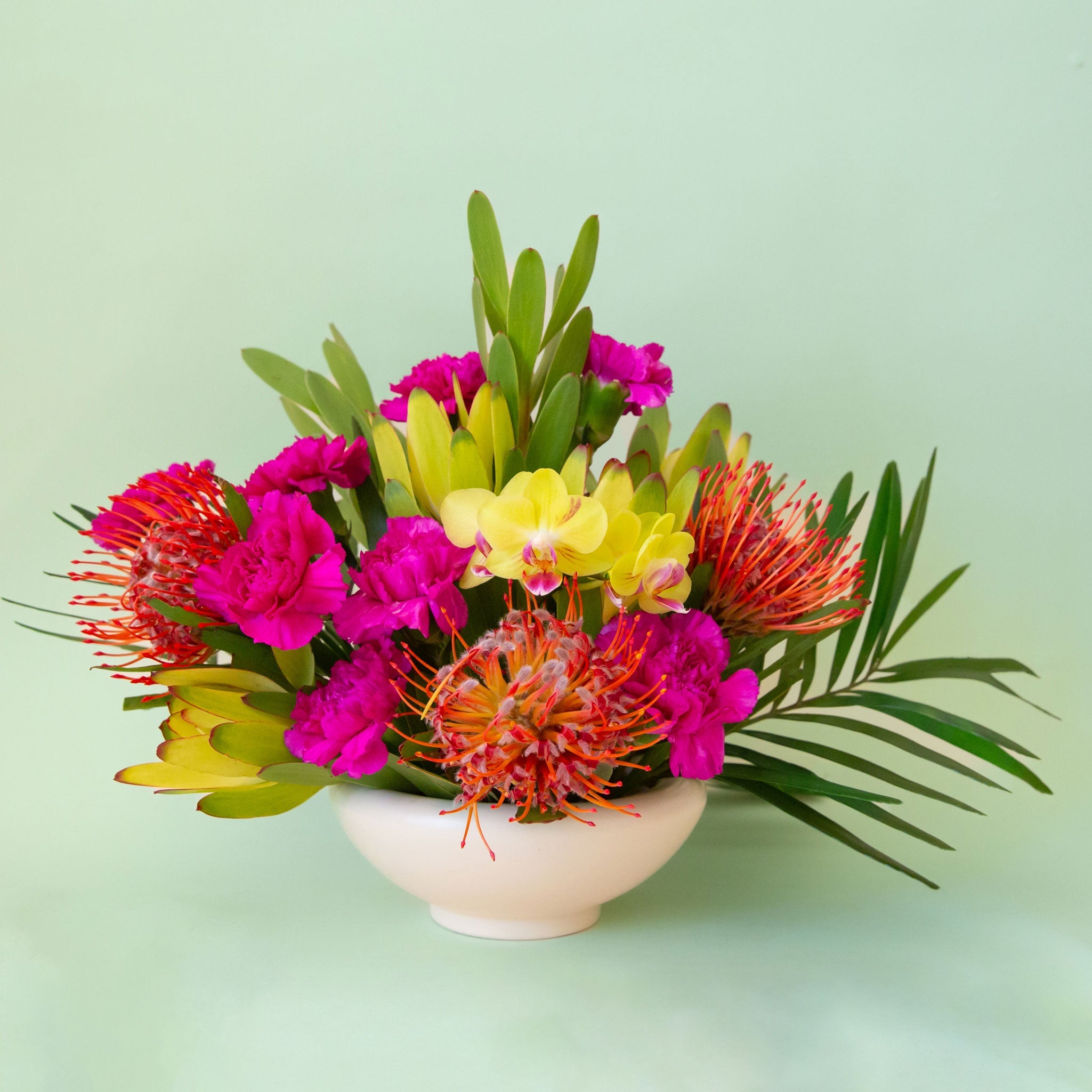 birdie plant pot Birdie Bowl