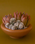 A ginger orange brown ceramic bowl planter. 