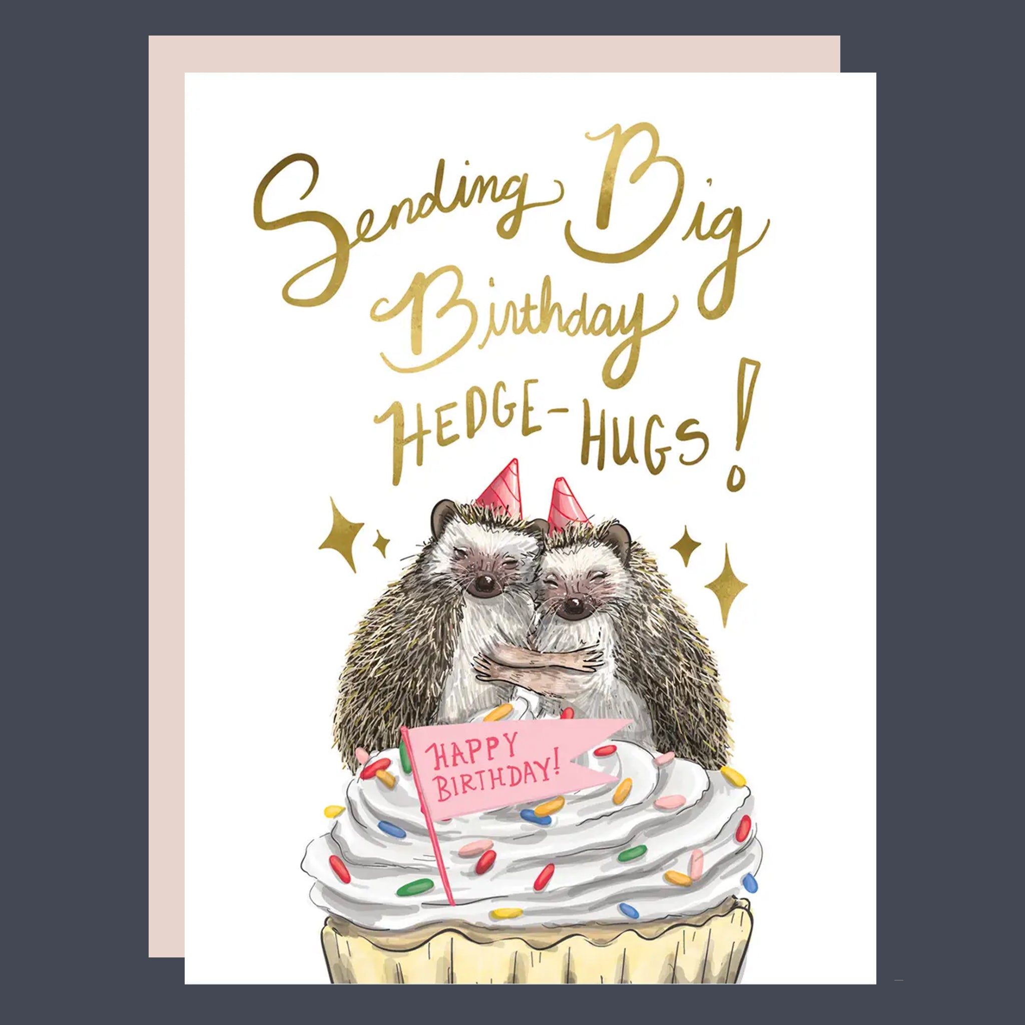 Birthday card with hedgehogs on a cupcake, text 'Sending Big Birthday Hedge-hugs!', on a white background.