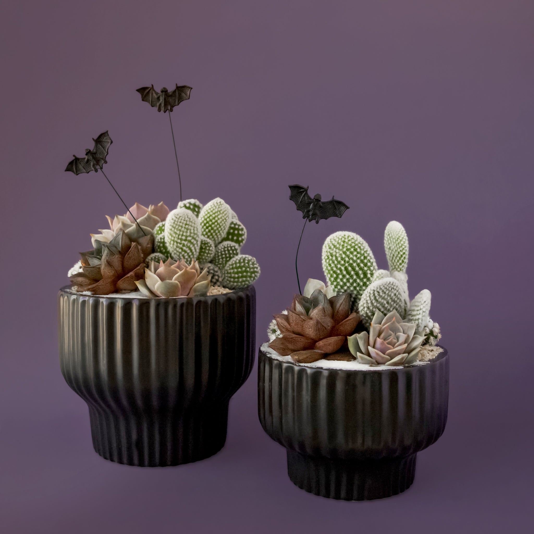 Two different sizes of the black ribbed pedestal planter. 