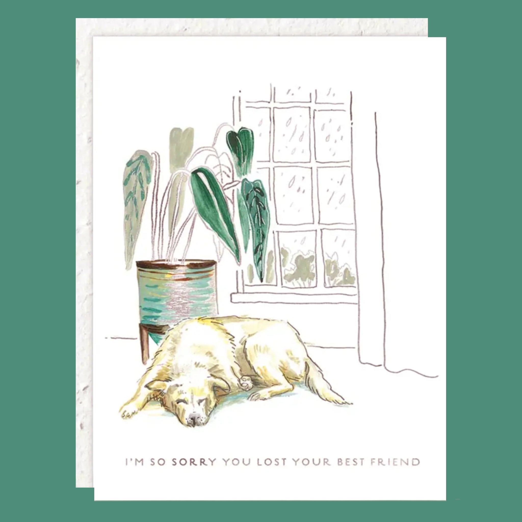 On a light pink background is a white card and envelope with an illustration of a potted green plant, a window with rain falling outside of it and a sleeping dog along with small text at the bottom that reads, &quot;I&#39;m so sorry you lost your best friend&quot;.