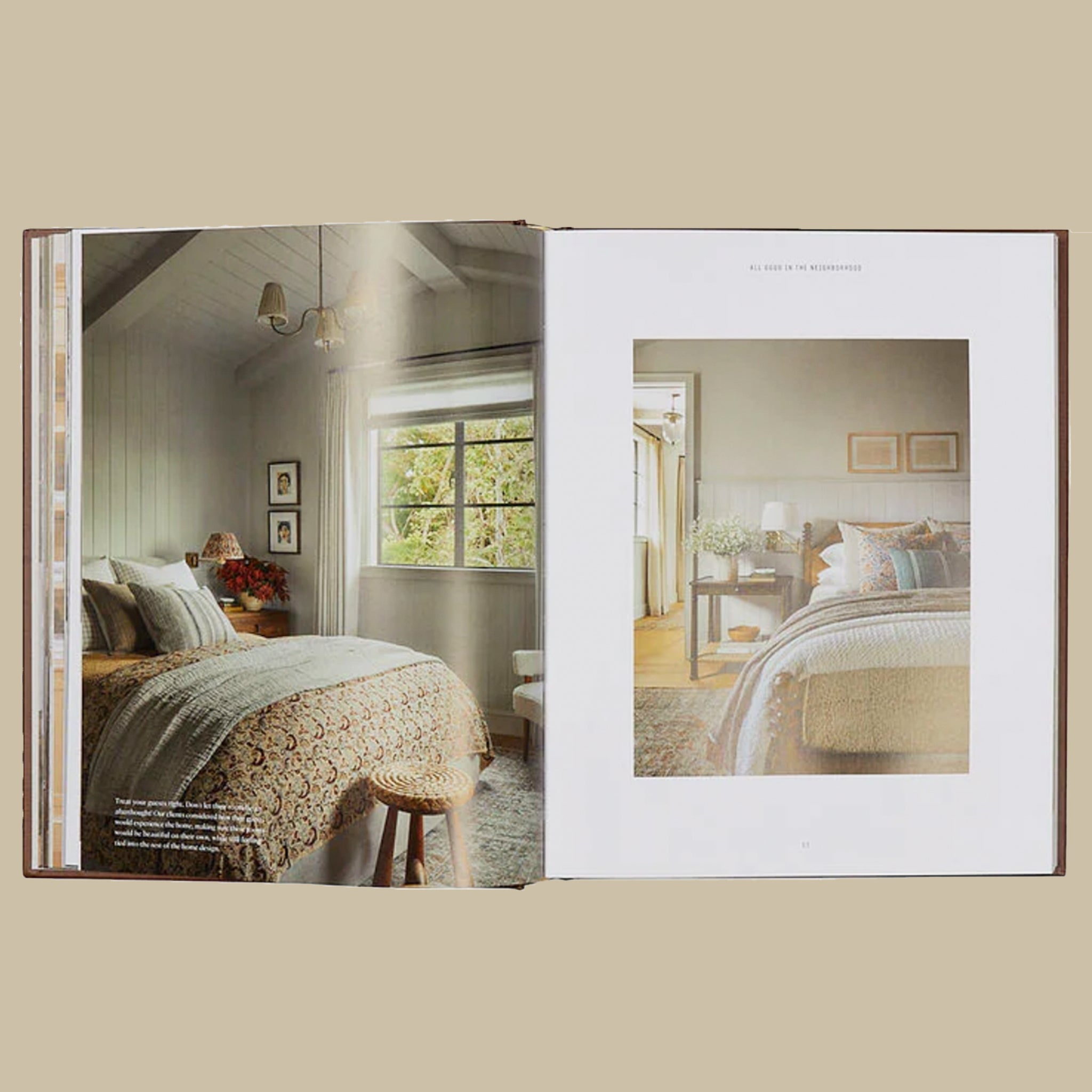 On a tan background is the book opened to a page in the book that features beautiful photographs of the interiors designed by Amber Lewis. 