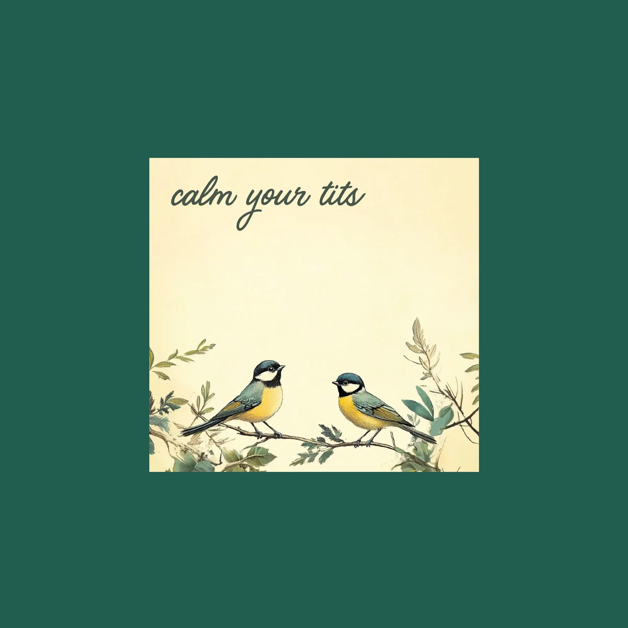 "calm your tits" on a small notepad with birds. 