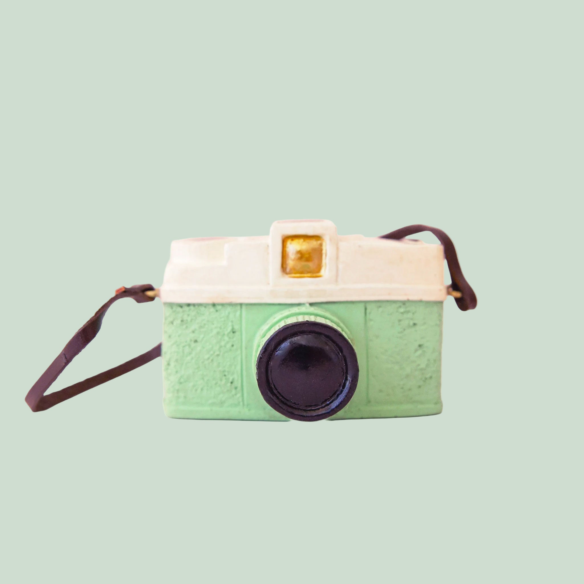 A mint colored camera shaped ornament with a black strap on a mint green background.