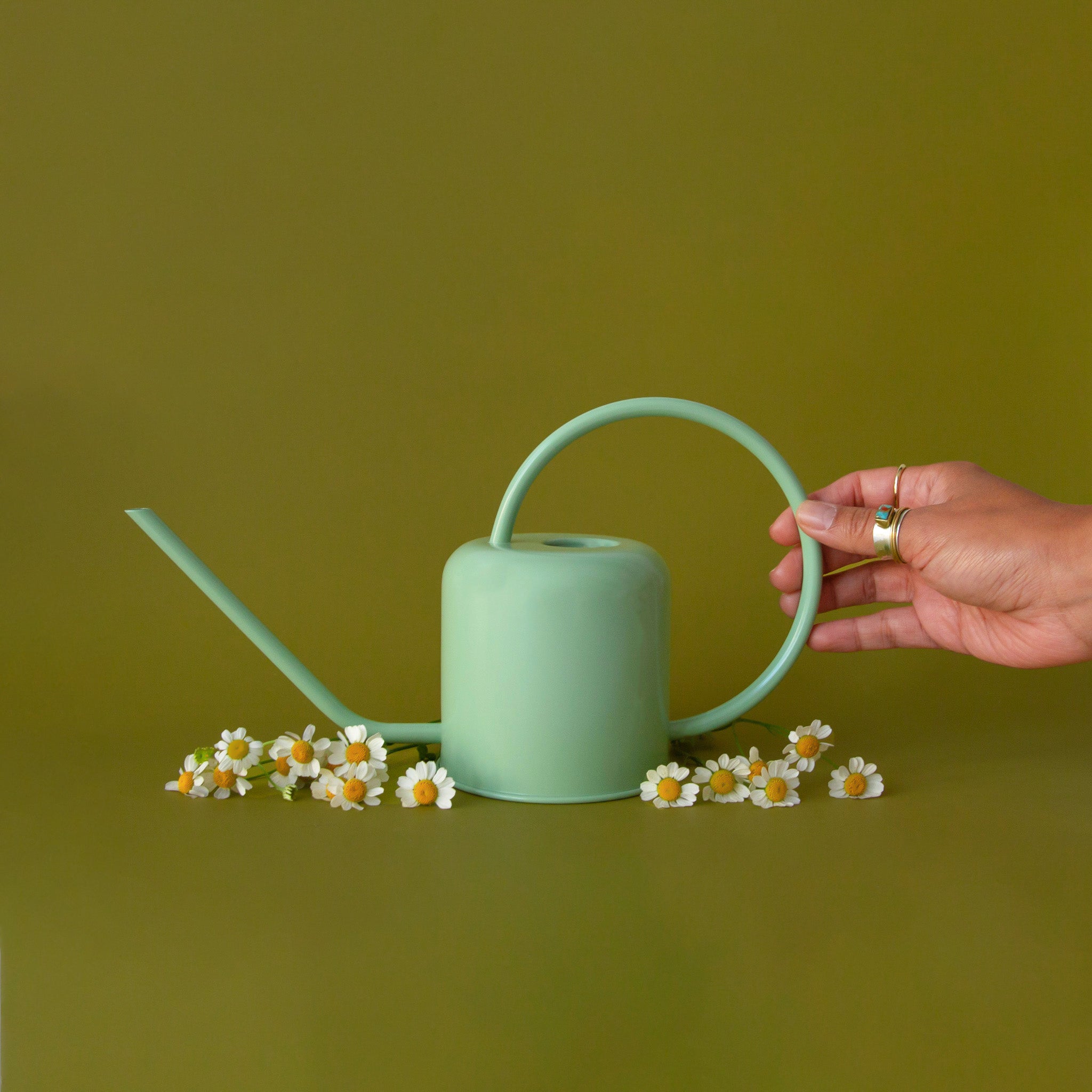 Mint green metal watering can with a long spout and circular handle on a green background.  A hand reaches into frame to hold the handle.  There are white daisies below.