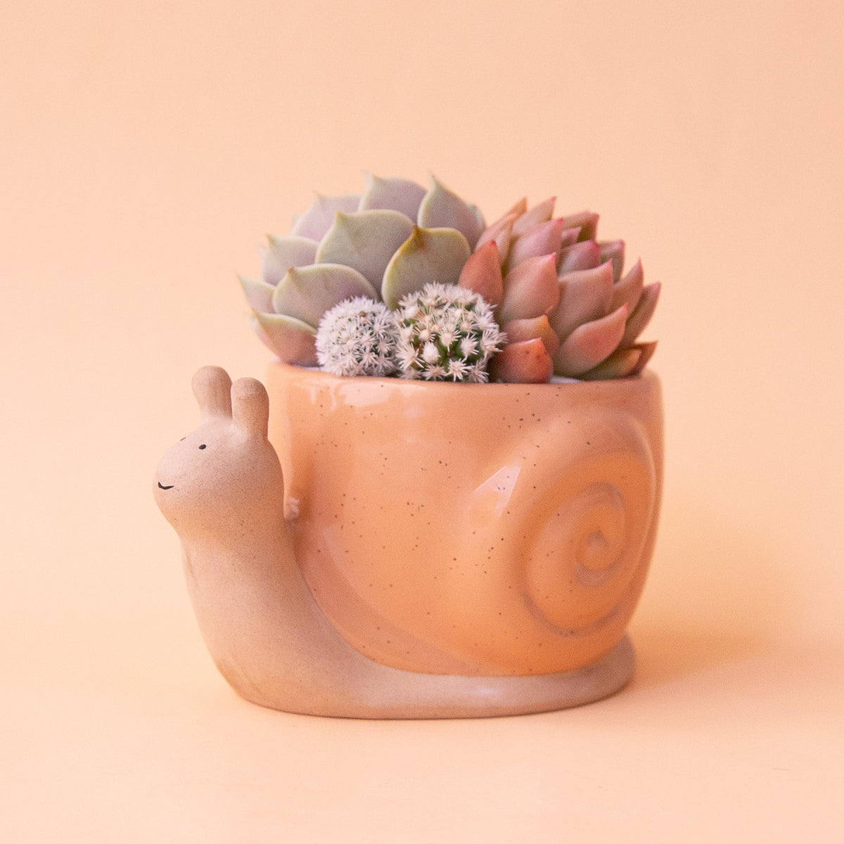 Vaso Sevilla In Resina The HC Companies - Terracotta Sunset, Larghezza 40,6 Cm, Con Sottovaso Integrato, Per Interni/Esterni - 6