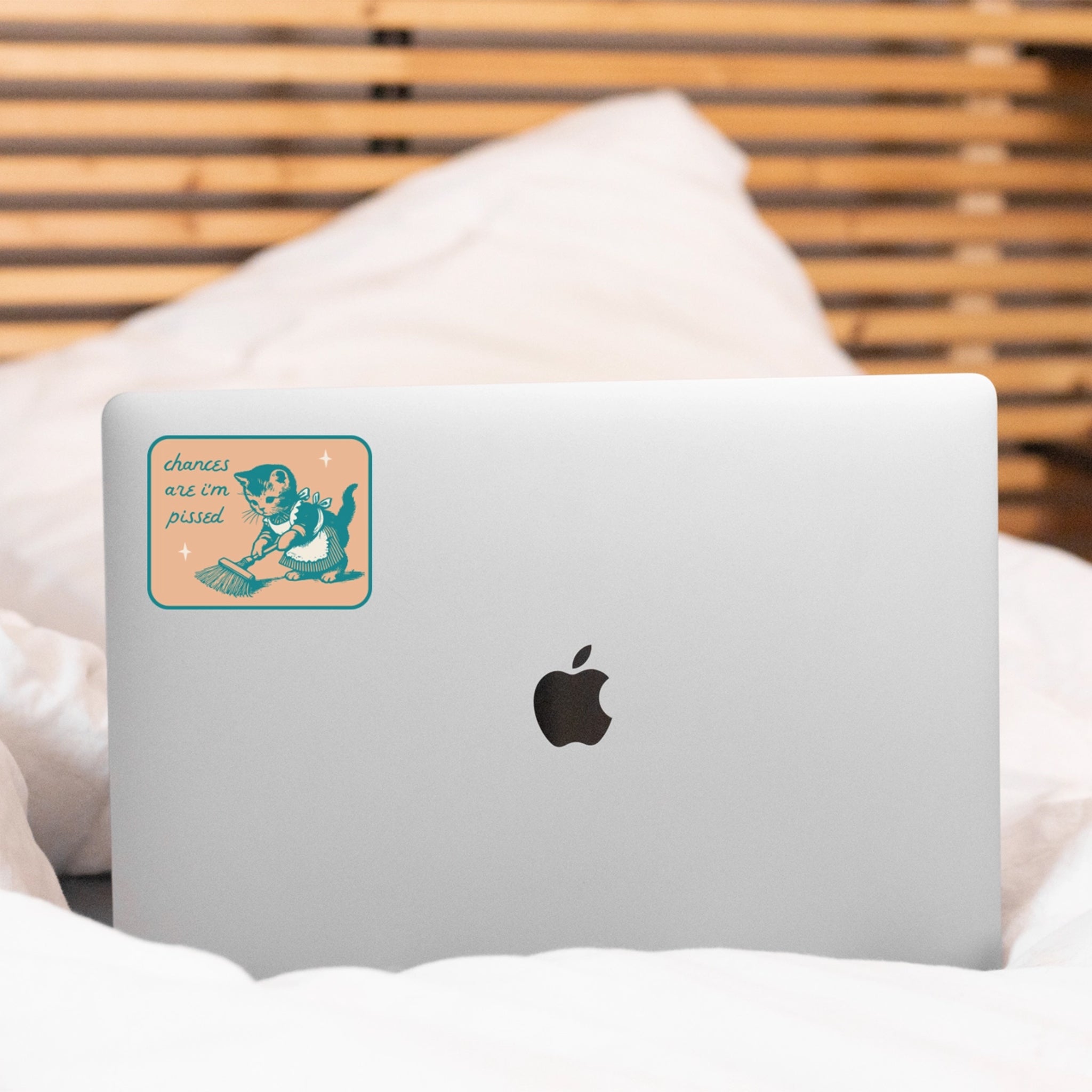 "chances are i'm pissed" sticker