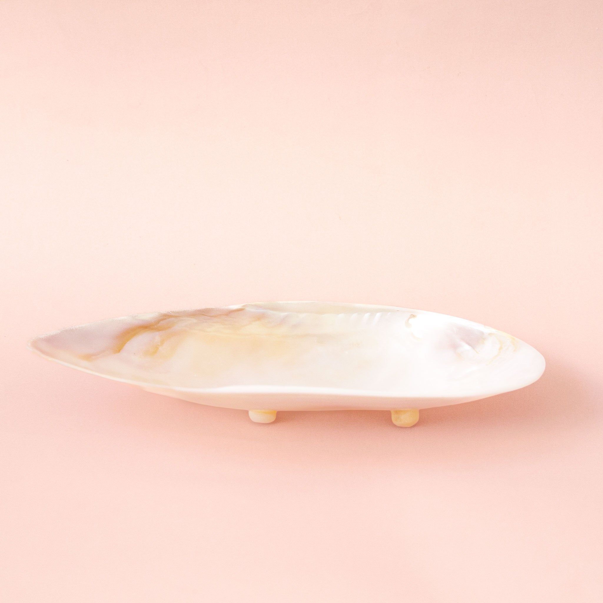 A shell shaped decorative bowl. 