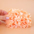 A light orange dried hydrangea flower head. 