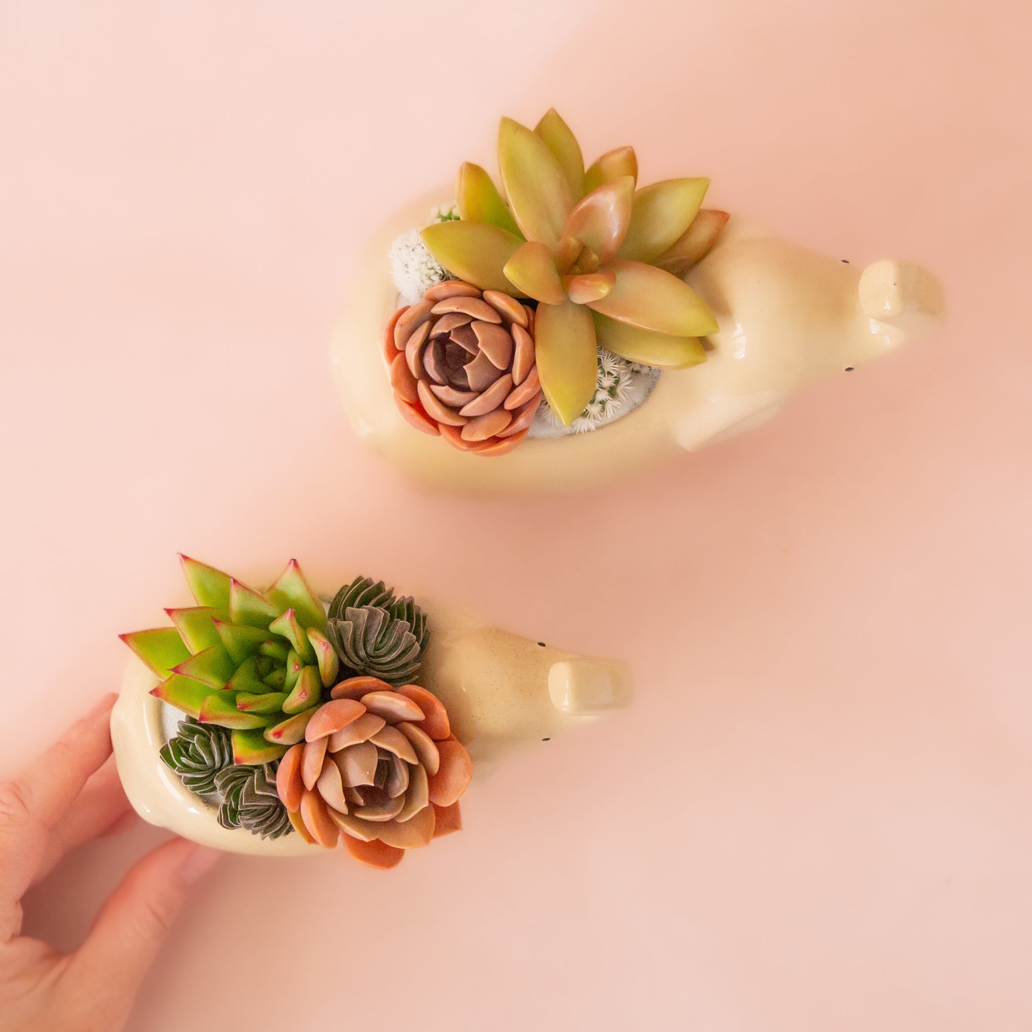 Two ceramic elephant with its nose in the air.  The ceramic is a tan color with speckles.