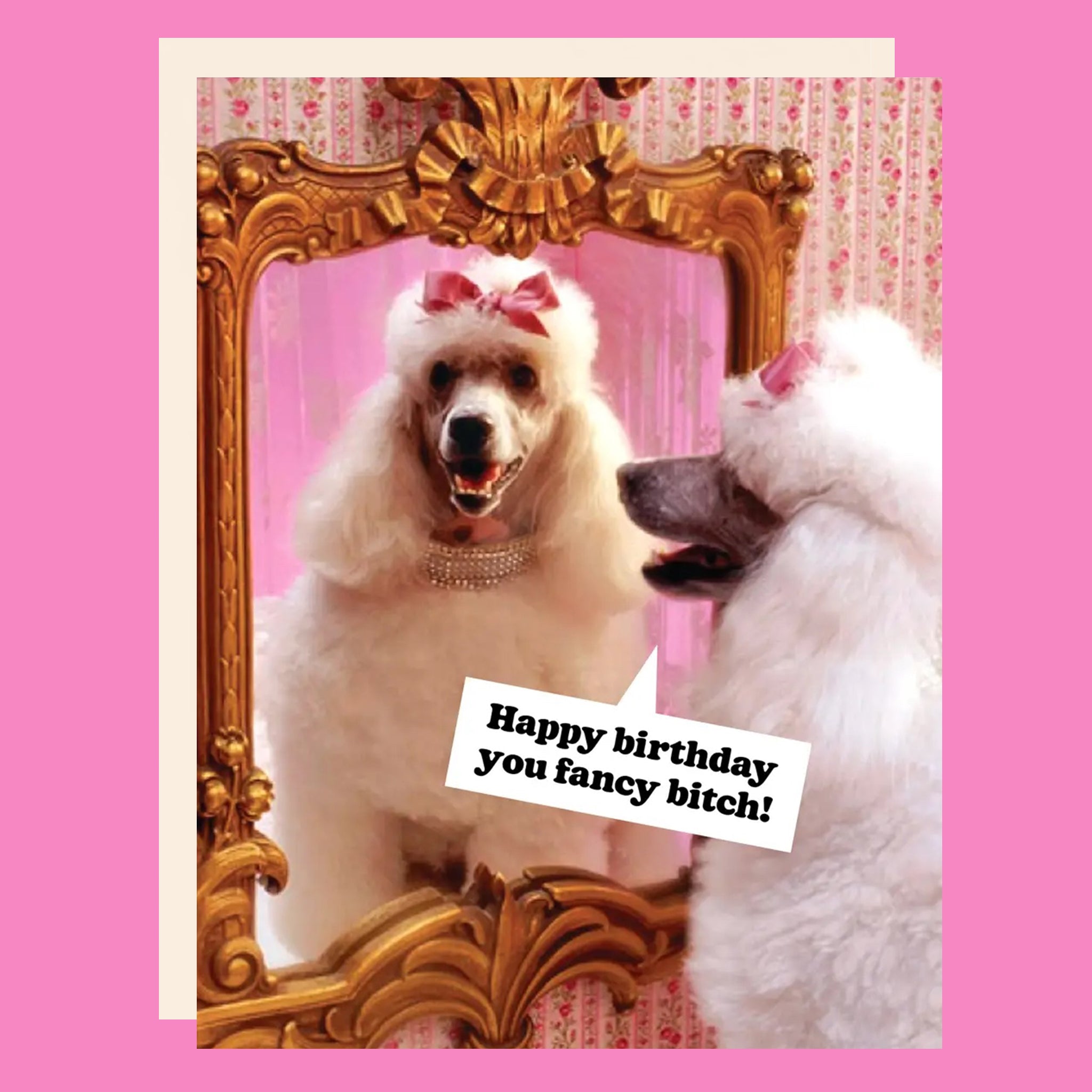 Greeting card with a poodle looking in the mirror. The card reads "Happy Birthday you fancy bitch!"