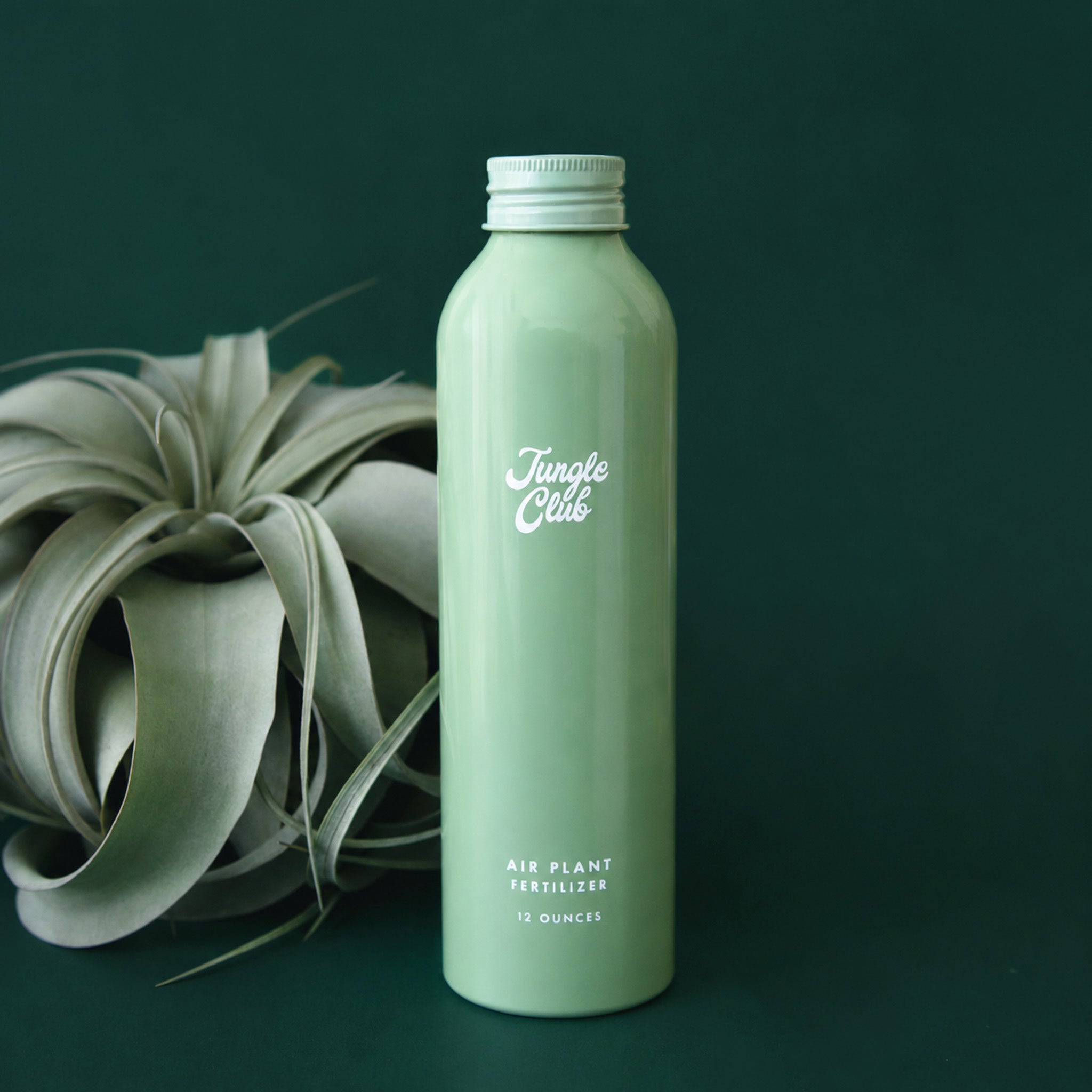 A mint green bottle of Air Plant Fertilizer stands on a dark green surface next to an air plant.