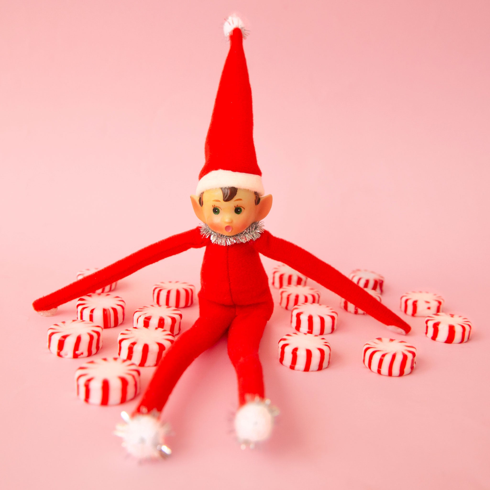 Elf Ornament | Festive Frankie