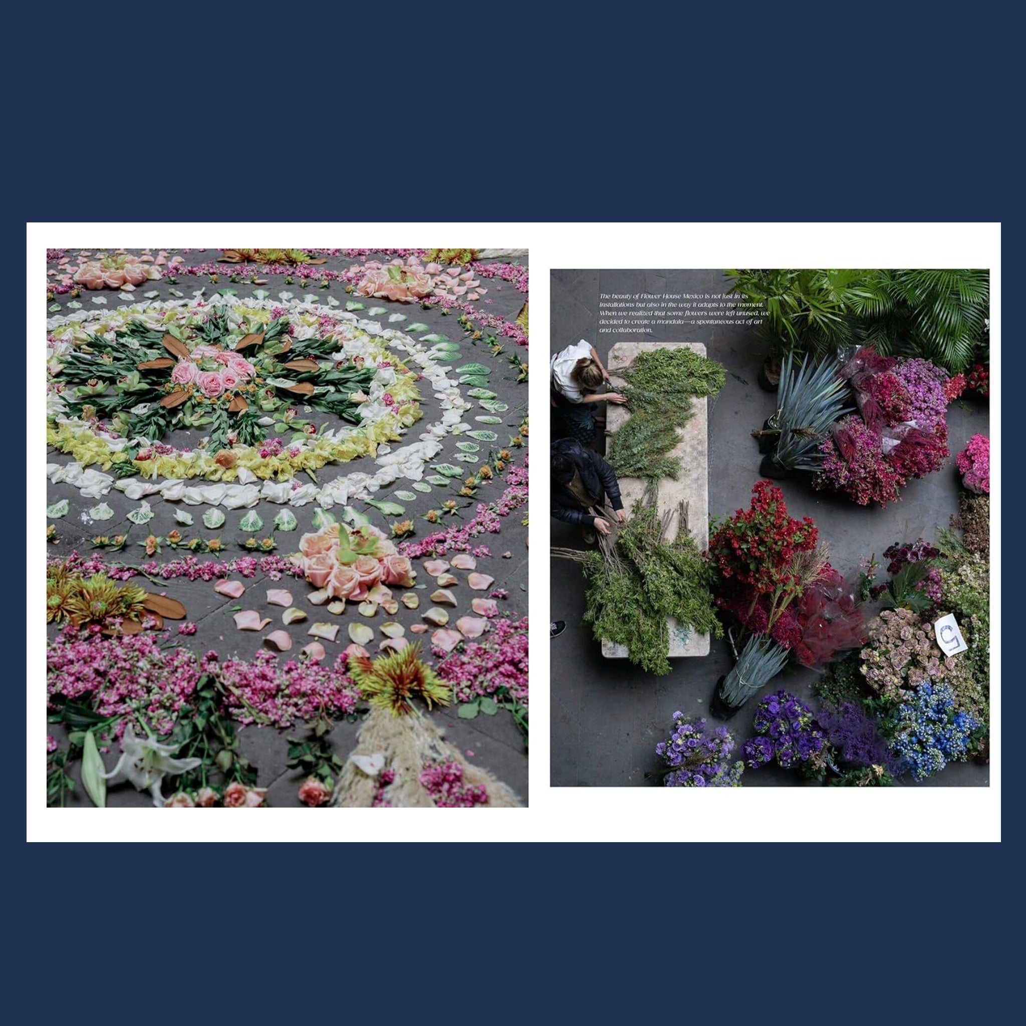 Two pages of unique floral photographs. 