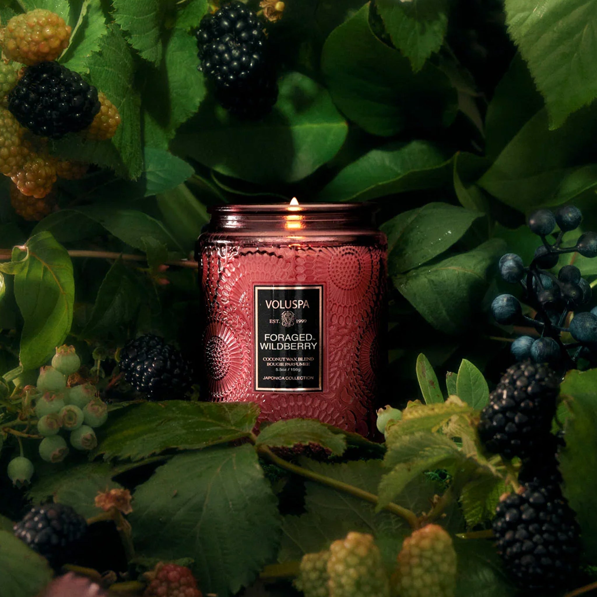 Pigment Foraged Wildberry Candle - Thumbnail 4