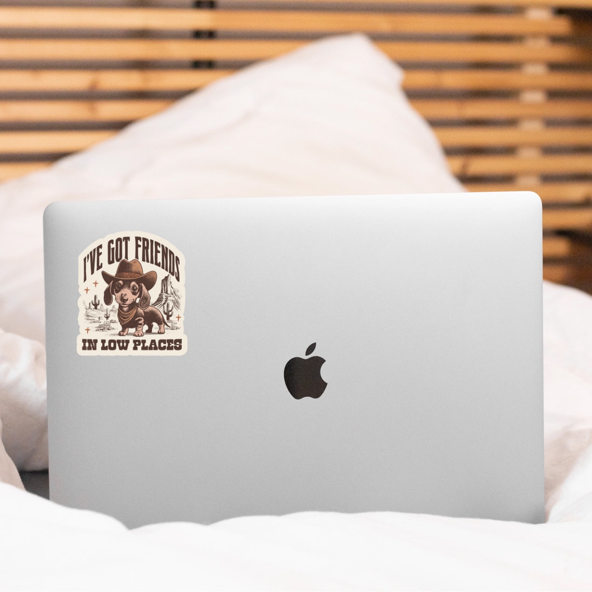 "I've got friends in low places" sticker 