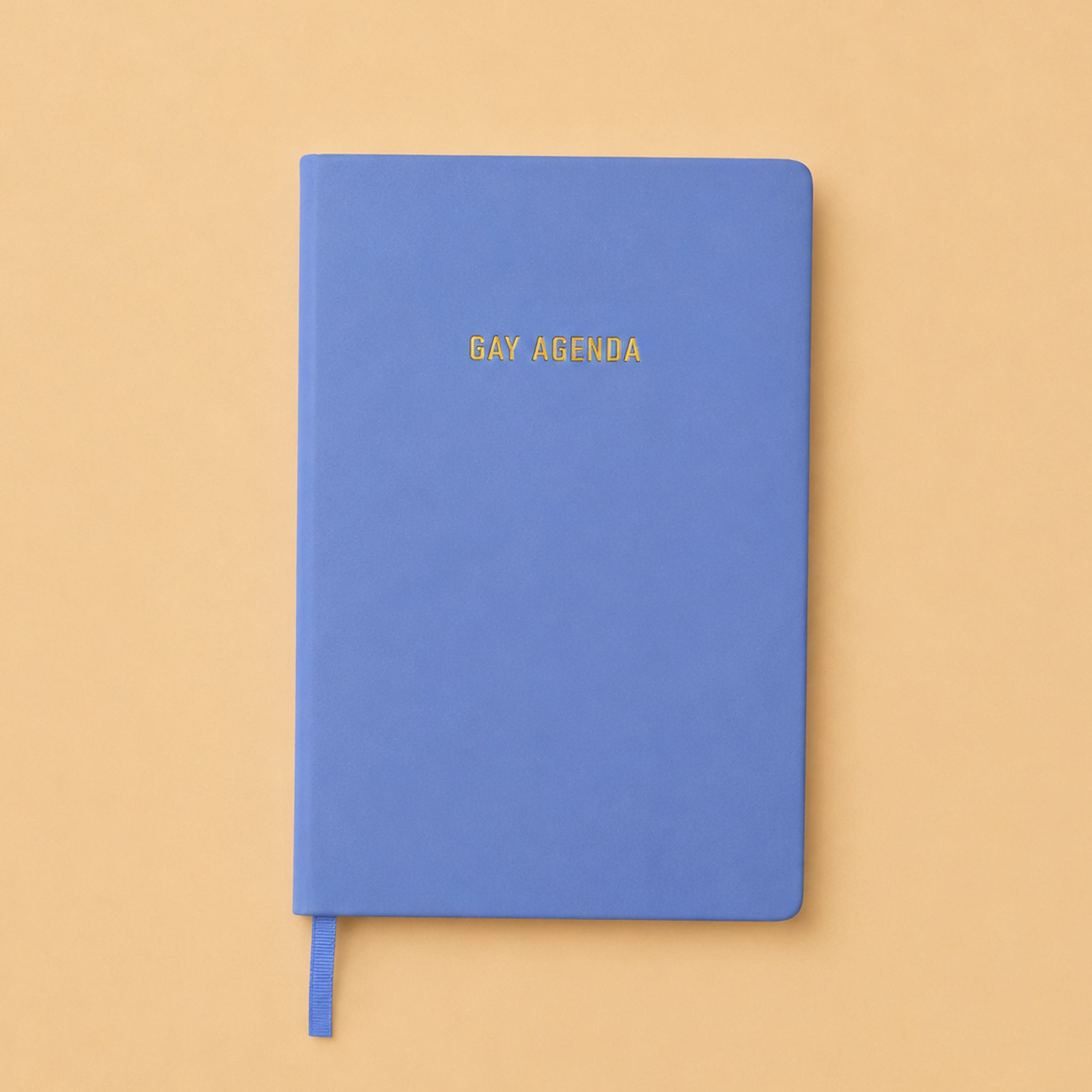 "gay agenda".