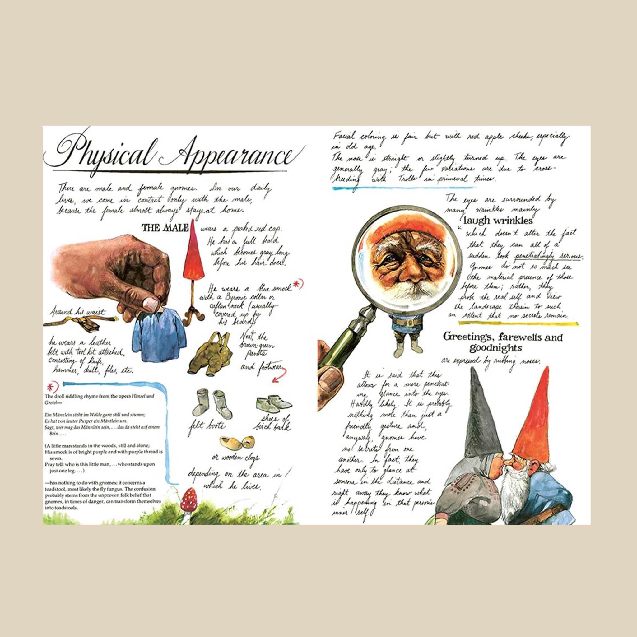 Another page inside the book with illustrations and text above the gnomes appearances. 
