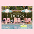 A book cover with a photo of different breeds of dogs sitting by a pool with umbrellas. 