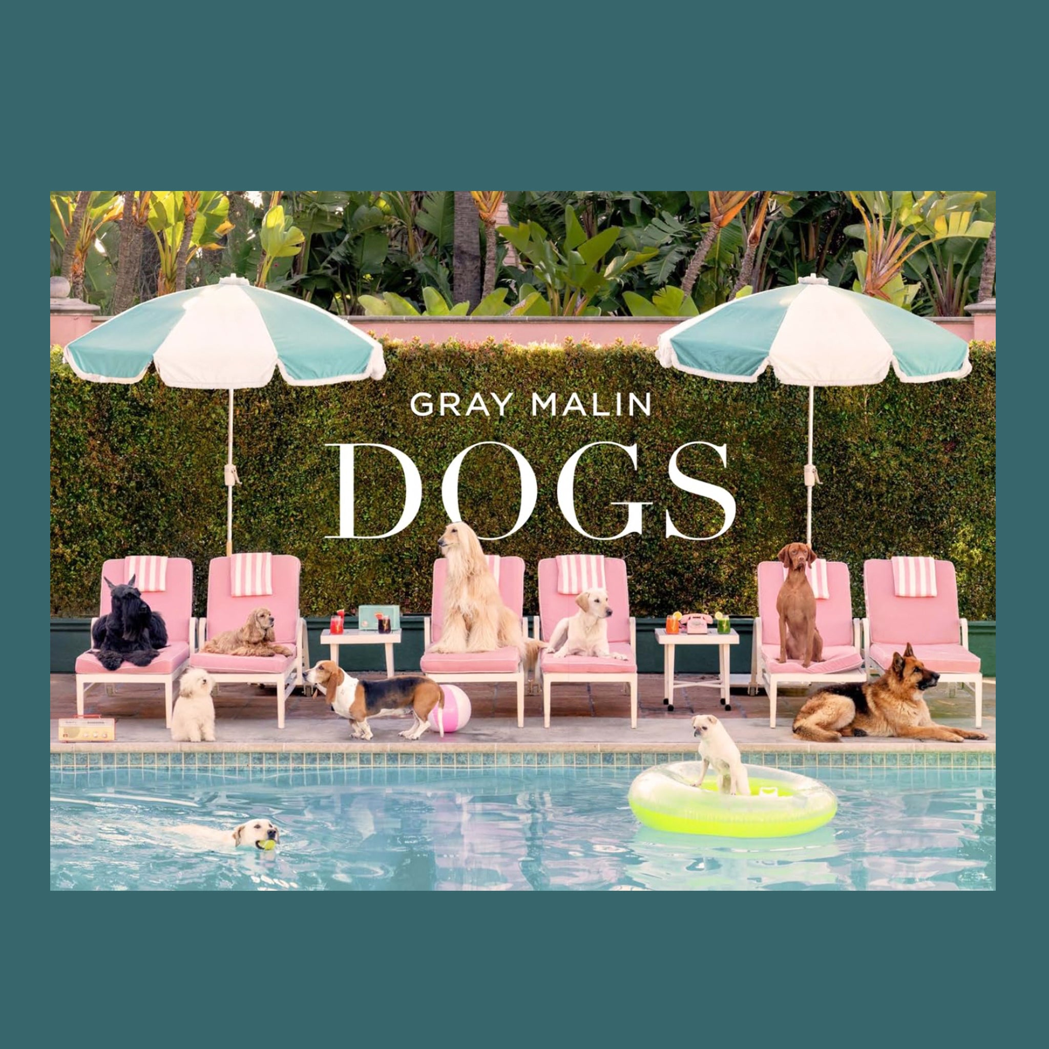 A book cover with a photo of different breeds of dogs sitting by a pool with umbrellas. 