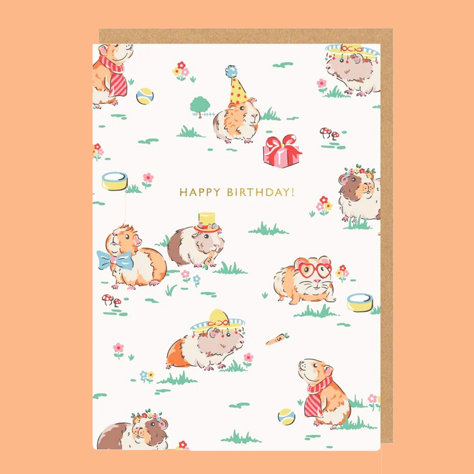 Guinea Pig Happy Birthday Card – Pigment