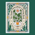On a green background is a green and orange coloring book with illustrations of house plants and text arched around that reads, "The Happy Houseplant Coloring Book", "50 Plants to Color and Care For". 