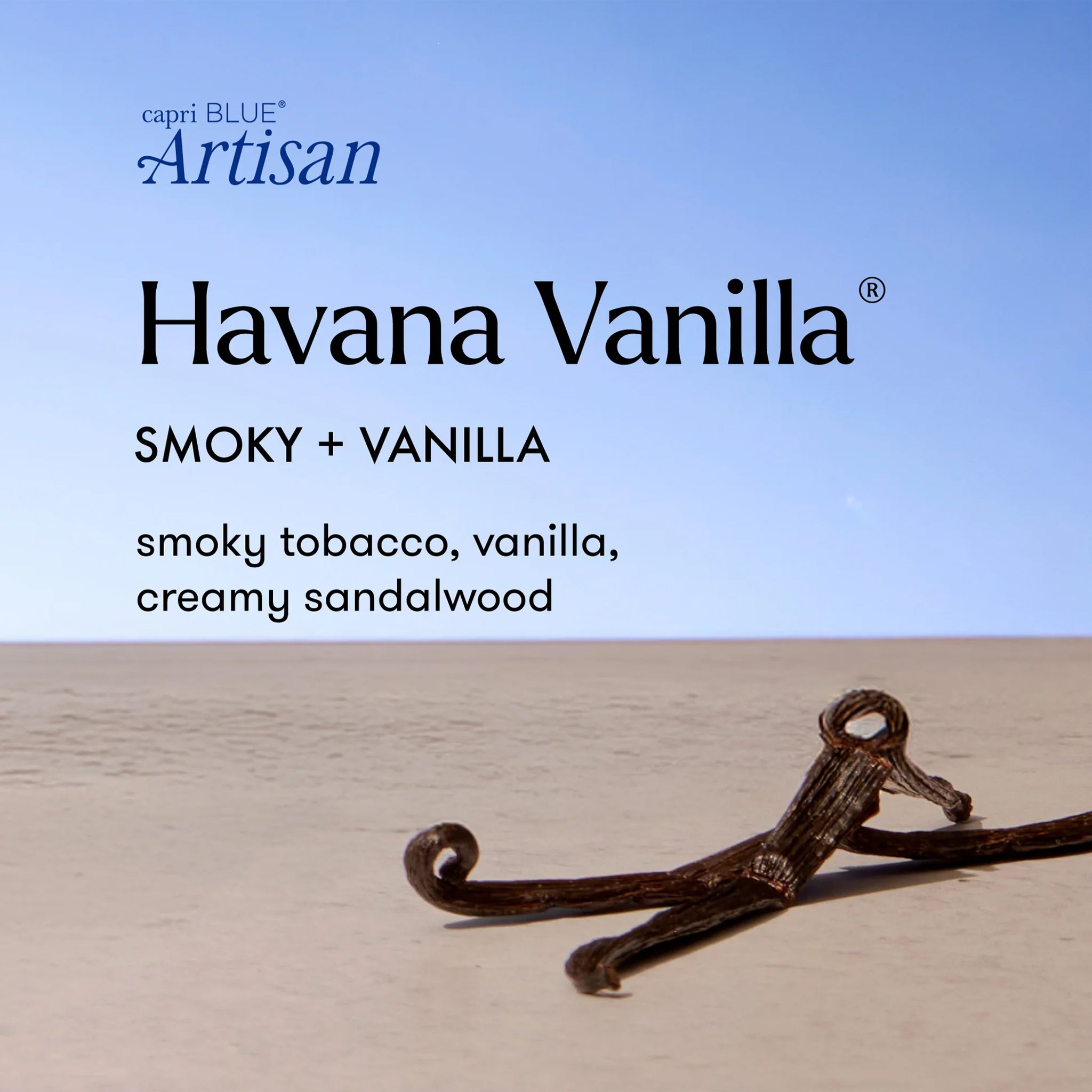 Capri Blue Artisan Havana Vanilla product with vanilla bean on a light background