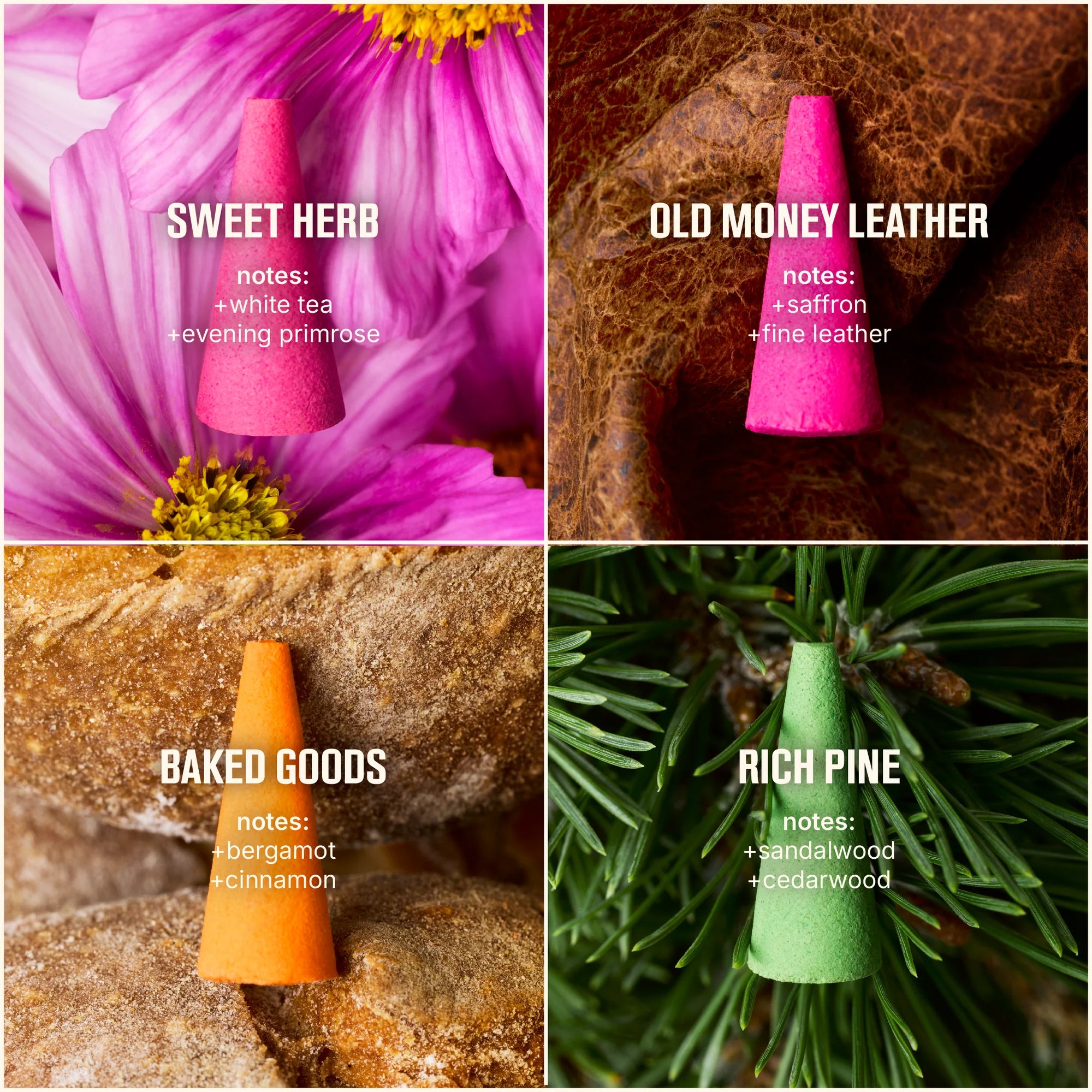 A four-panel collage showcasing scented plant drops. Top left: a pink cone-shaped drop on bright pink flower petals labeled “Sweet Herb” with notes of white tea and evening primrose. Top right: a pink drop on textured brown leather labeled “Old Money Leather” with notes of saffron and fine leather. Bottom left: an orange drop on rustic bread labeled “Baked Goods” with notes of bergamot and cinnamon. Bottom right: a green drop nestled in pine needles labeled “Rich Pine” with notes of sandalwood and cedarwood